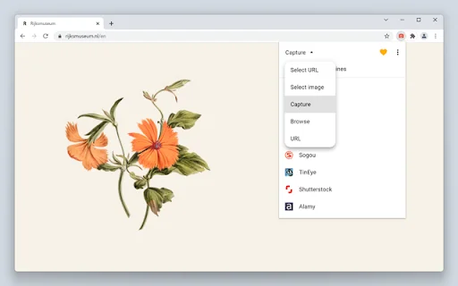 ดาวน์โหลด Search by Image ล่าสุด – ค้นหาภาพย้อนกลับฟรี - Screenshot 3