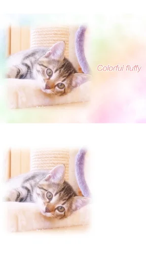 ดาวน์โหลด WataameCamera ล่าสุด – แต่งรูปสไตล์ละมุน น่ารักเหมือนสายไหม ฟรี - Screenshot 1