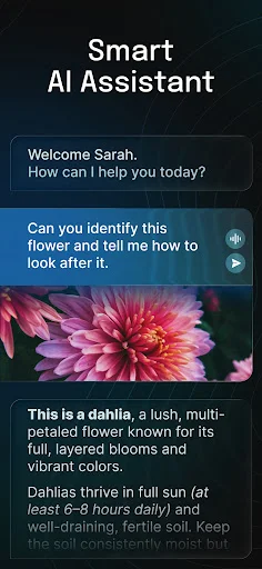 ดาวน์โหลด AI Chatbot – Nova ล่าสุด – ผู้ช่วยอัจฉริยะใช้งานง่าย ฟรี - Screenshot 2